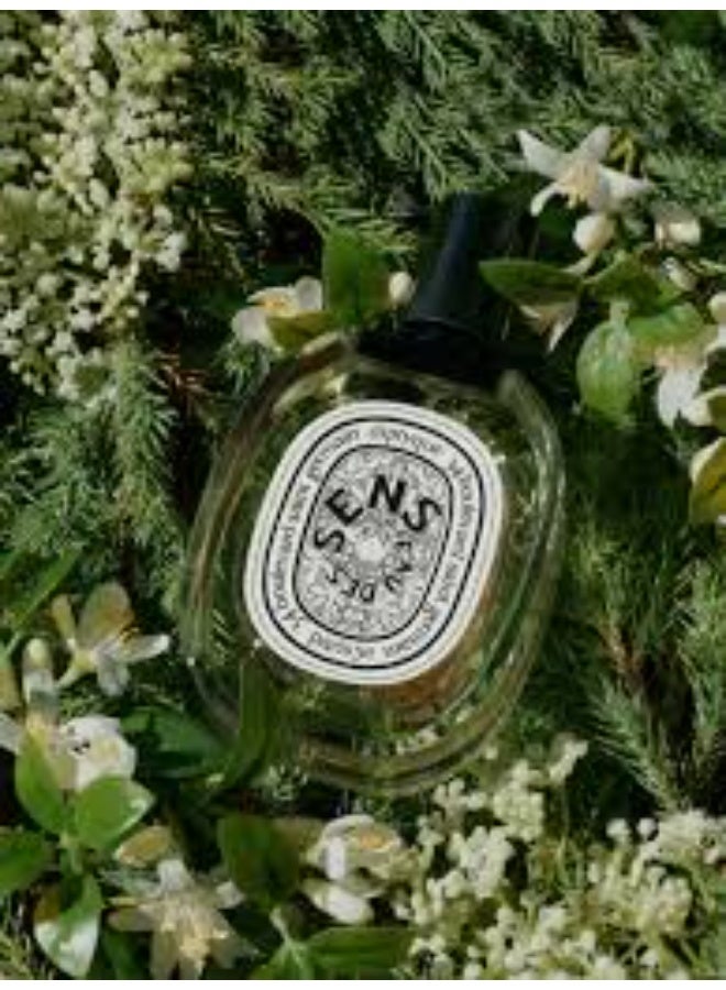 Diptyque Eau des Sens  100ML - Image 2